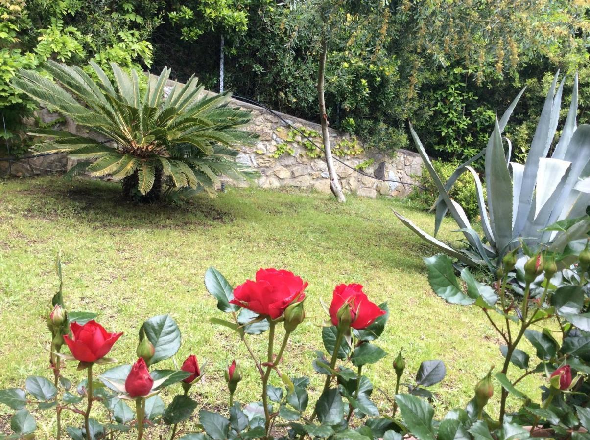 Tra Mare E Bosco Nella Splendida Quercianellaヴィラ エクステリア 写真